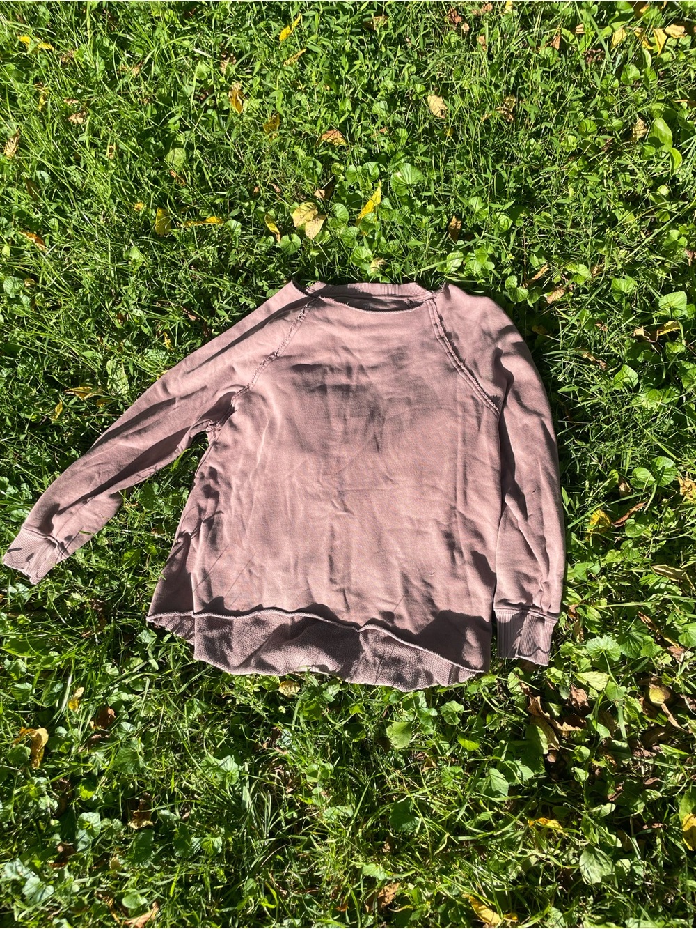 Women's Aerie purply- brown Long Sleeve Crewneck Top